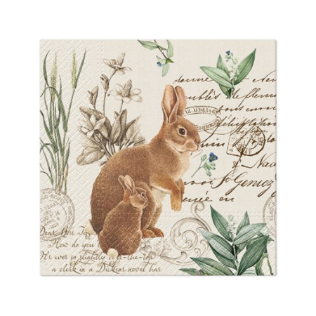 Servett Mystery Bunny