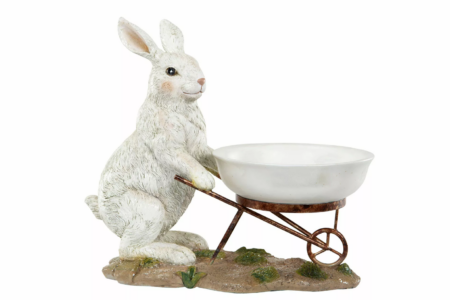 Hare Med Skål