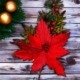 Dekorationskvist jul med röd blomma och barr