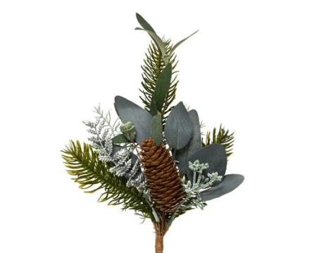 Kvist med gröna blad och kotte