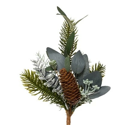 Kvist med gröna blad och kotte