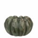 Ljuslykta grön pumpa