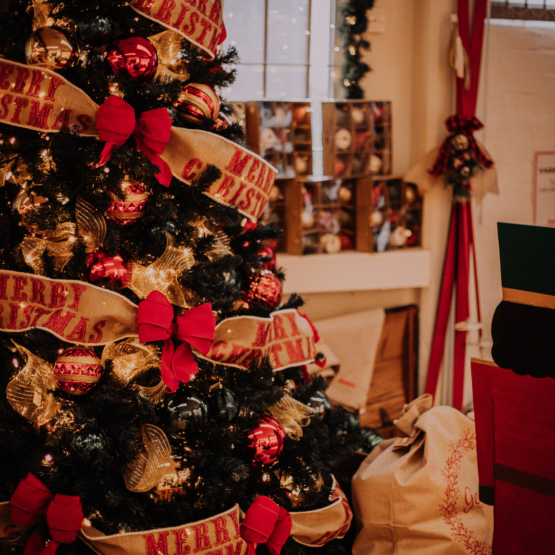 Avgift – Julgransmagi 13 november 2025