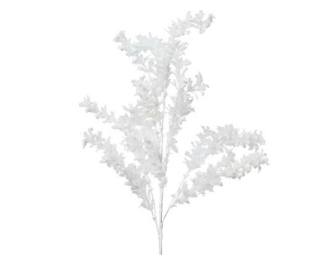 Snötäckt kvist