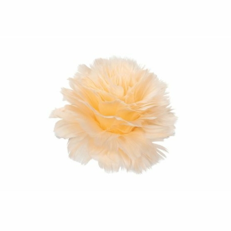 Fjäderblomma med Clip Aprikos