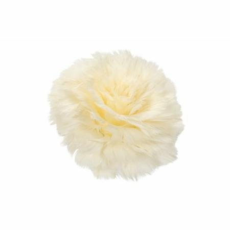 Fjäderblomma med Clip Vanilj